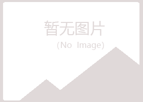 宁夏山柏咨询有限公司